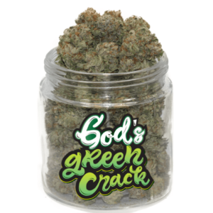 God'S Green Crack Marijuana Strain