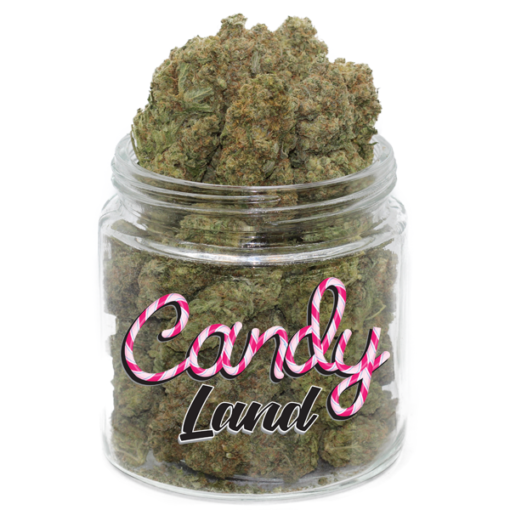 Candyland Marijuana Strain