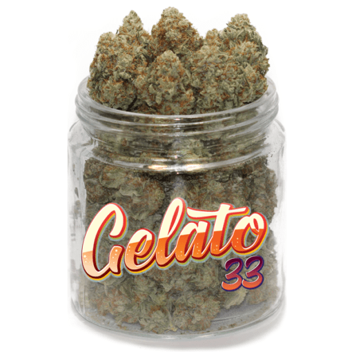 Gelato #33 Marijuana Strain