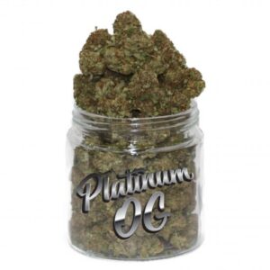 Platinum OG Marijuana Strain