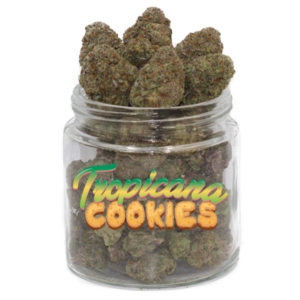 Tropicana Cookies Marijuana Strain