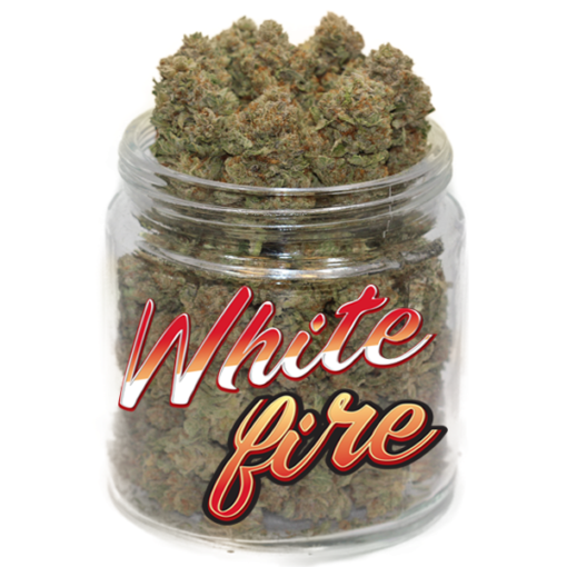 White Fire Marijuana Strain