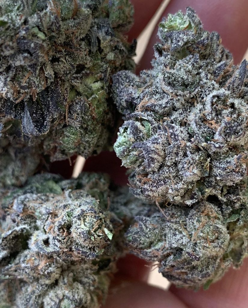 Unlocking the Healing Powers of Georgia Weed: A Closer Look at Medical Marijuana